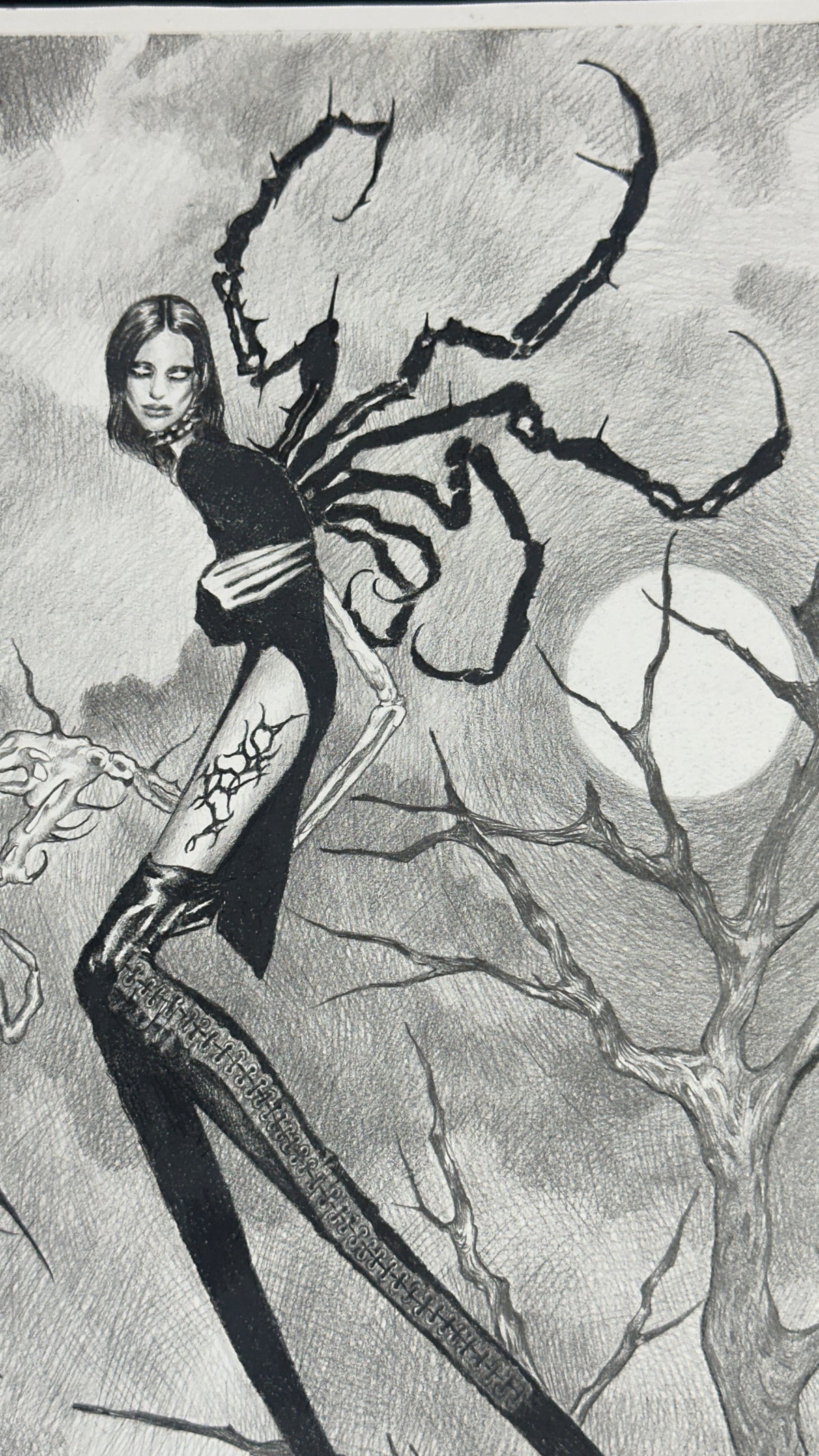Night, Moon, Witch, Cedar and Lorca’s Head